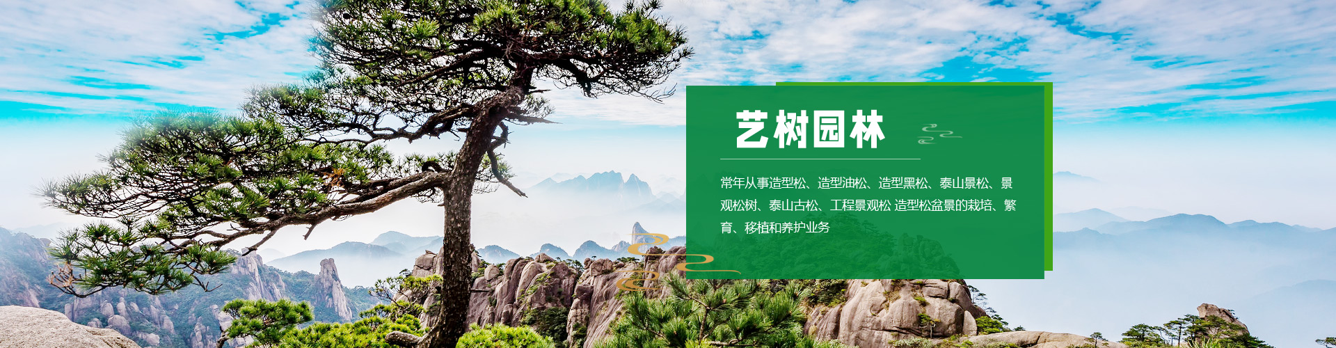 泰安泰山力源機械科技有限公司